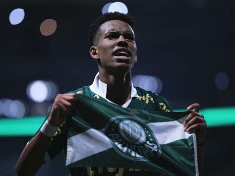 palmeiras x botafogo ao vivo online